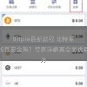 Bitpie最新教程 比特派钱包安全吗？专家详解其全面优势