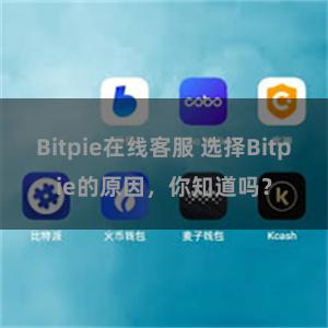 Bitpie在线客服 选择Bitpie的原因，你知道吗？