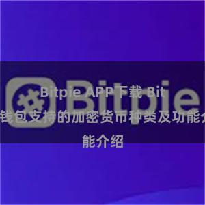 Bitpie APP下载 Bitpie钱包支持的加密货币种类及功能介绍