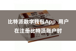 比特派数字钱包App  用户在注册比特派账户时