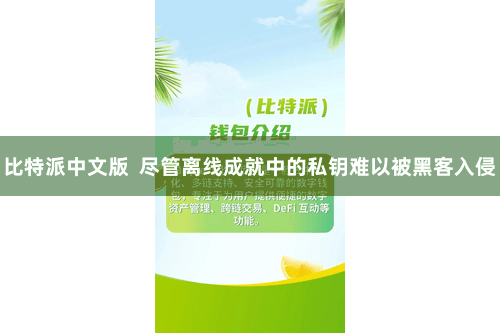 比特派中文版  尽管离线成就中的私钥难以被黑客入侵